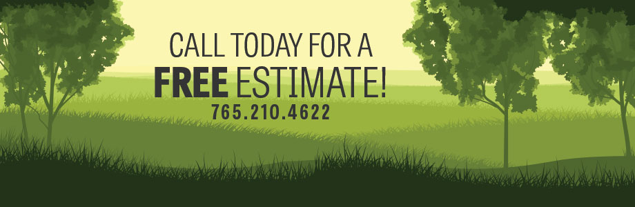 Tree Cutting Service in Kokomo IN